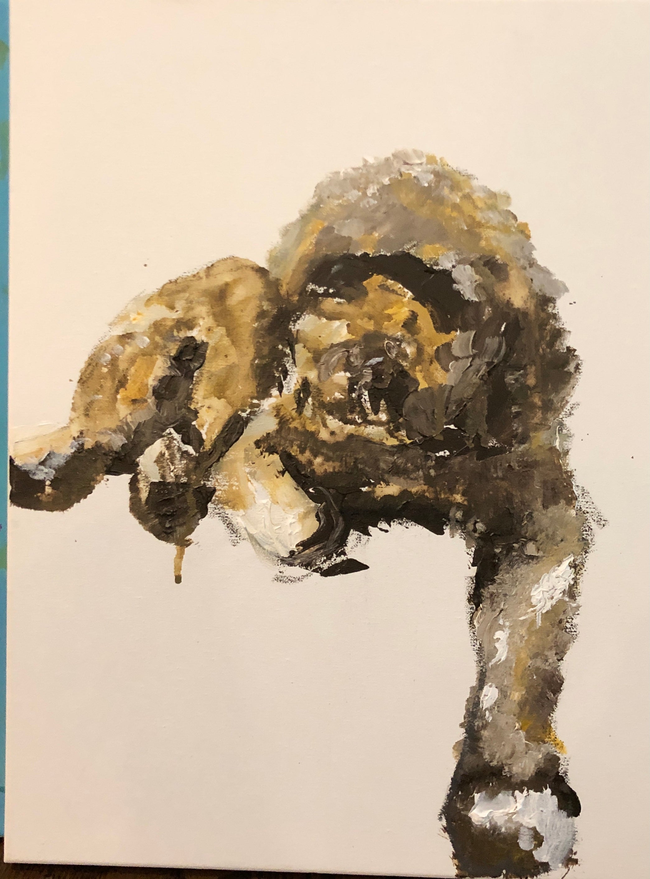 Animals 100