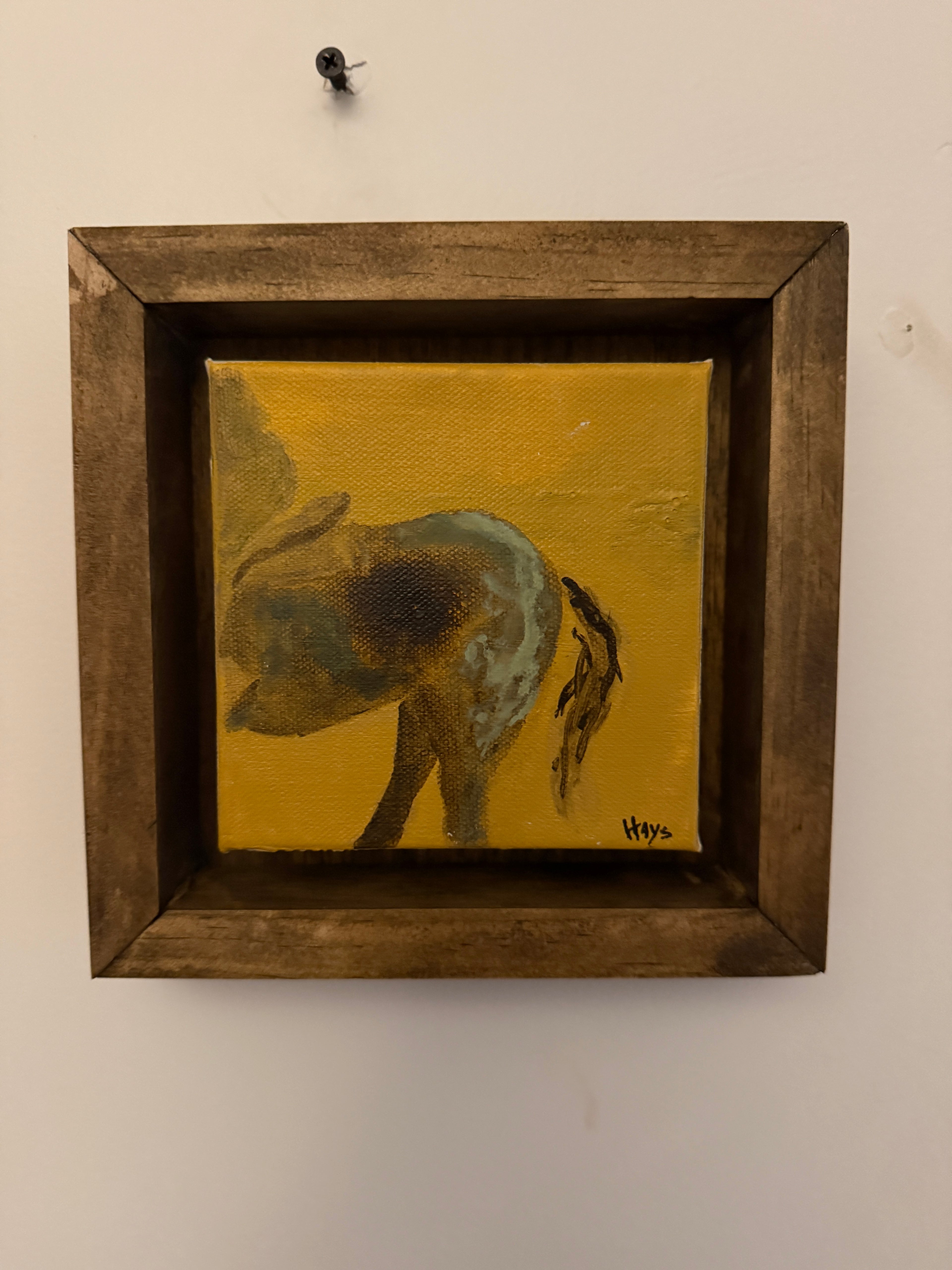 Horse 108
