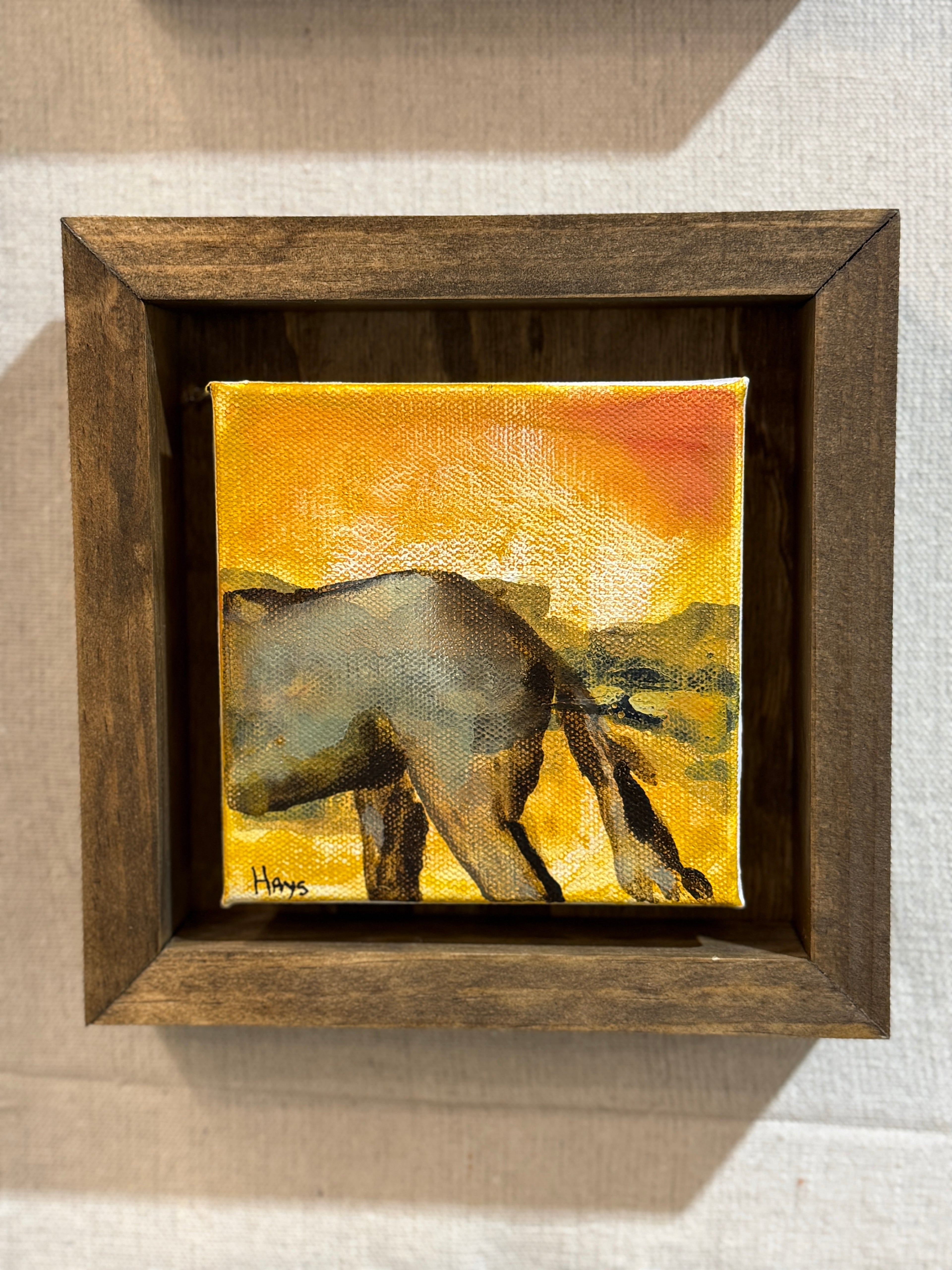 Horse 111