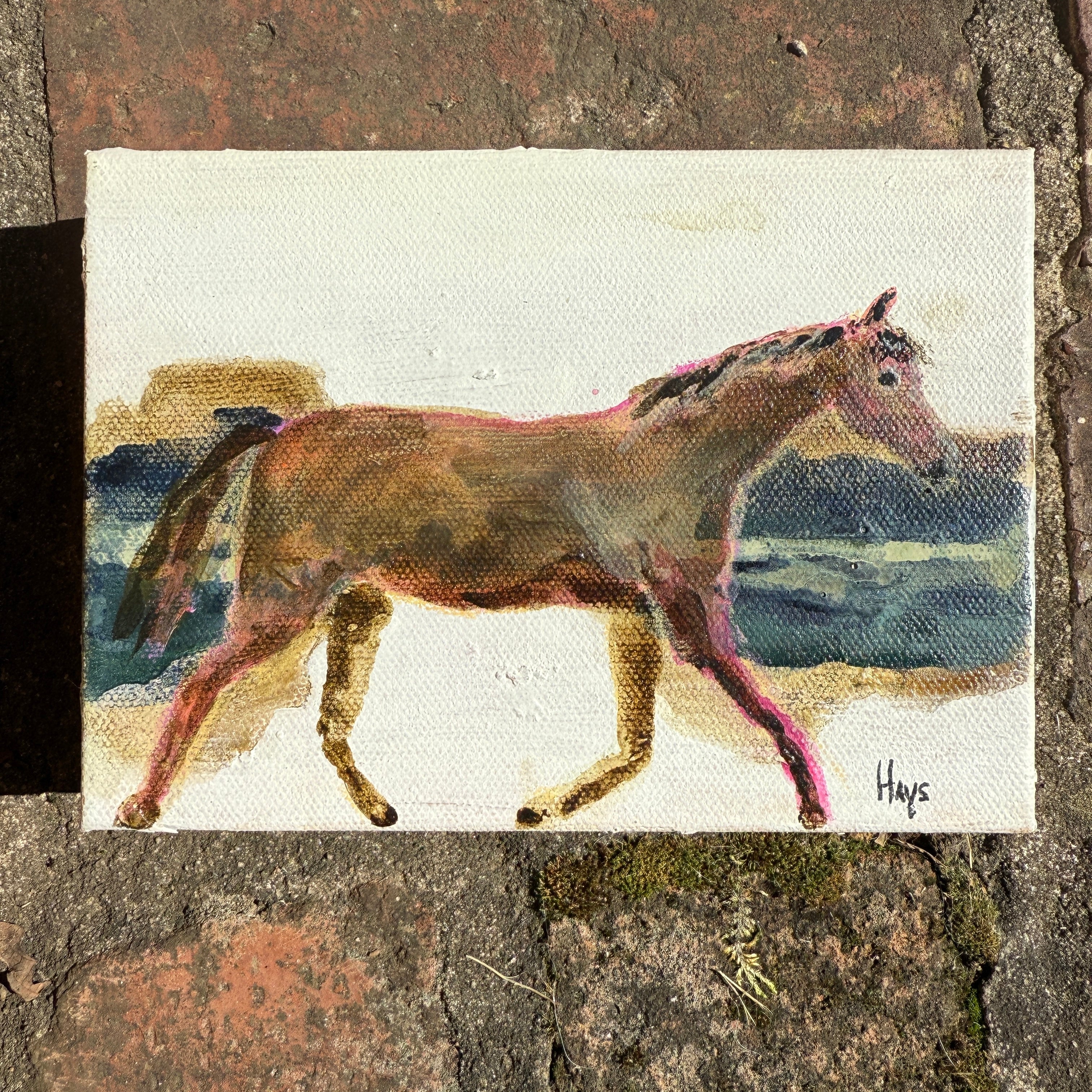 Horse 112