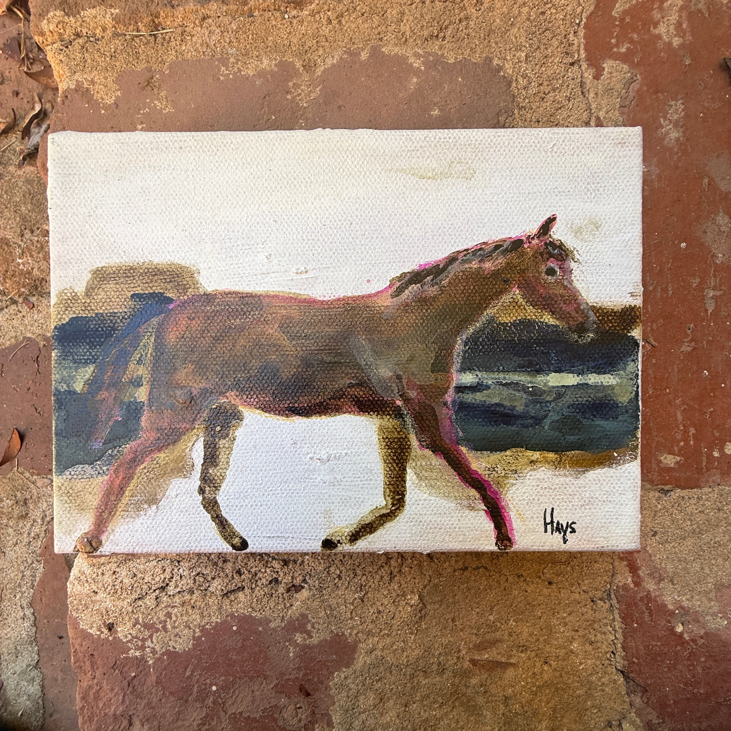 Horse 113