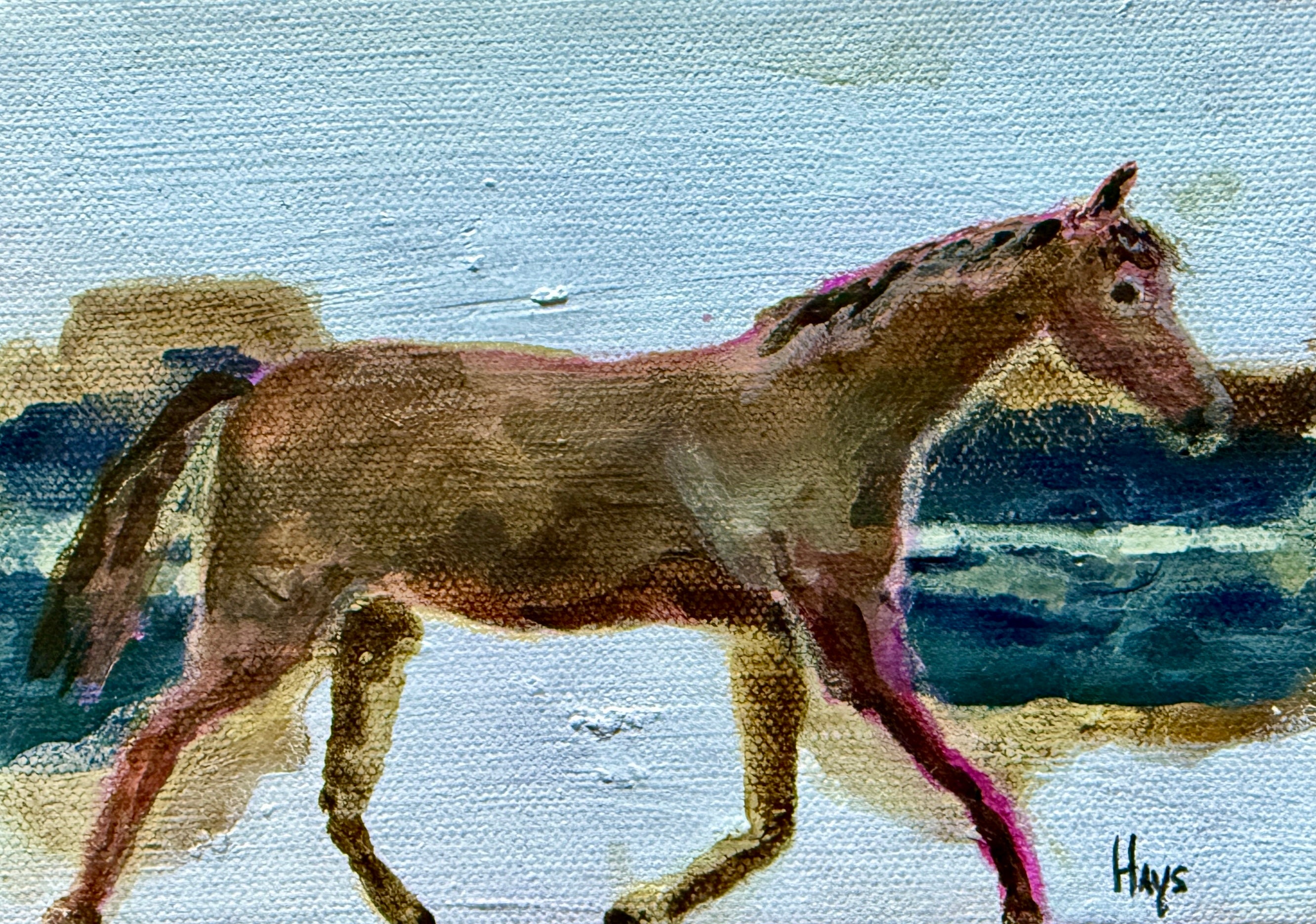Horse 114