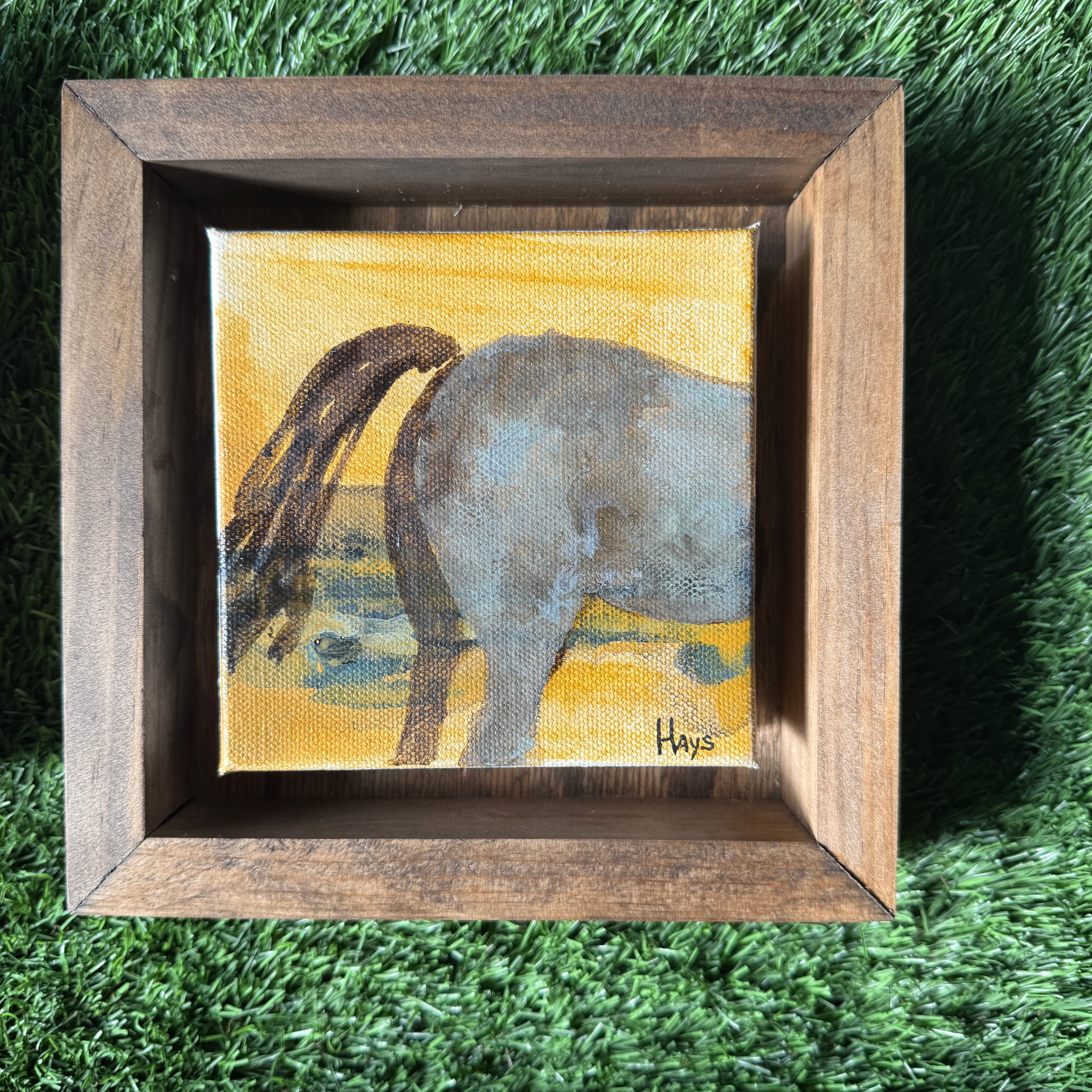 Horse 117
